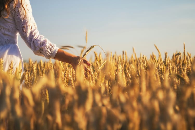 Faith, Favor, and a Fresh Start